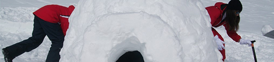 sejour_ski_alpes